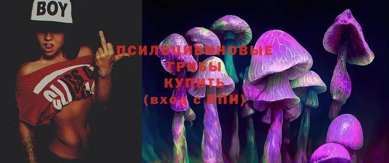 Галлюциногенные грибы Psilocybe  Воркута 